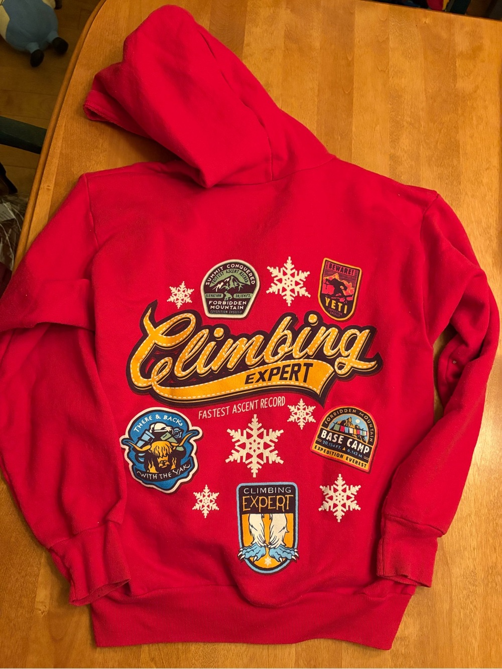 Disney everest animal kingdom Graphic Hoodie - Red